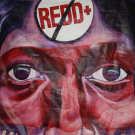 NO REDD+! in RIO +20: A Declaration to Decolonize the Earth and the Sky