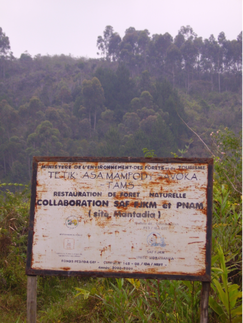 Dercy Teles on the popular movement of rubber tappers in Brazil