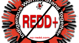 REDD-solidarity-2-300x291