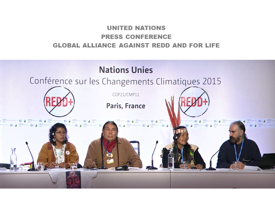 PRESS CONFERENCE: “REDD: Contradiction and Violation of the Sacred”
