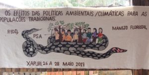 Xapuri Declaration: “We reject any form of climate colonialism”